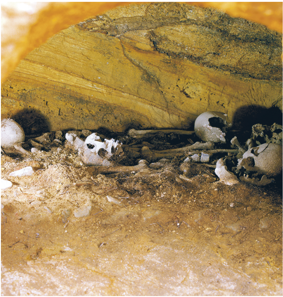 須恵須賀浦遺跡で発見された人骨の画像